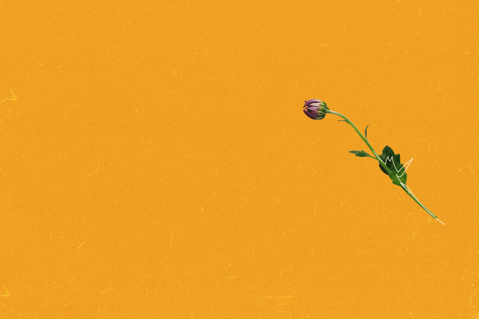 Breaking Open the Litany of Humility Unleash the Gospel